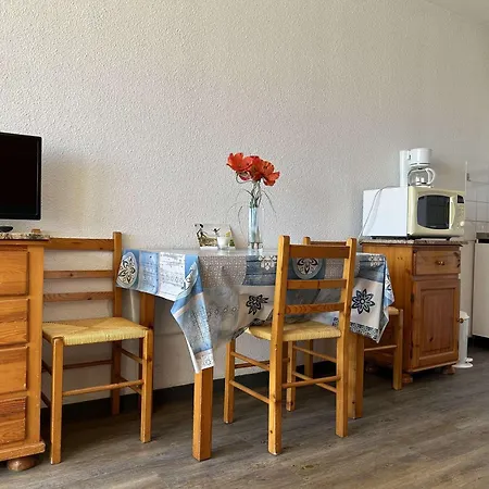 Appartement Studio 4 personnes proche plage, animaux admis, parking - FR-1-229D-226 *